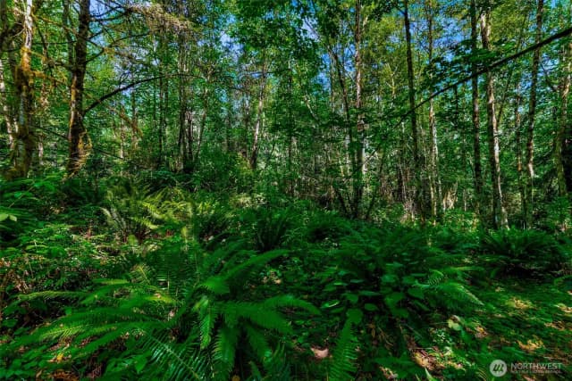 Property photo for 8679 Ne Fox Den Lane, Bainbridge Island photo 4