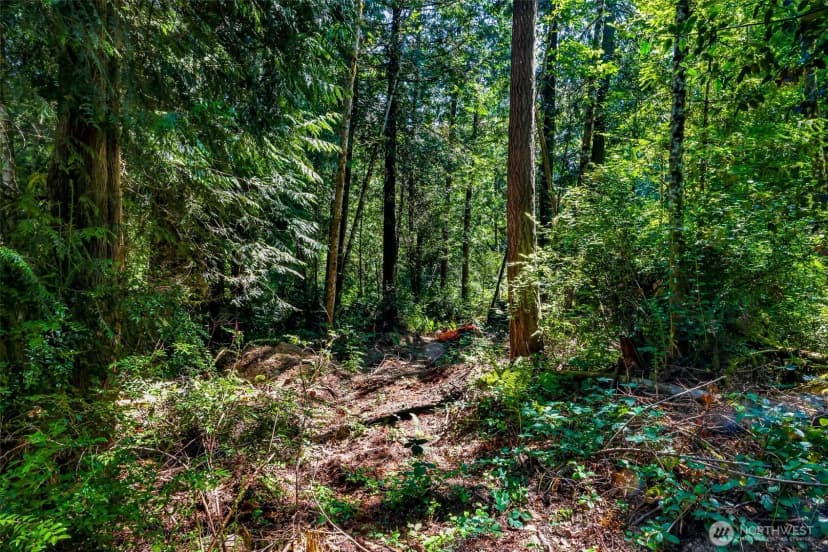 Property photo for 8679 Ne Fox Den Lane, Bainbridge Island photo 7