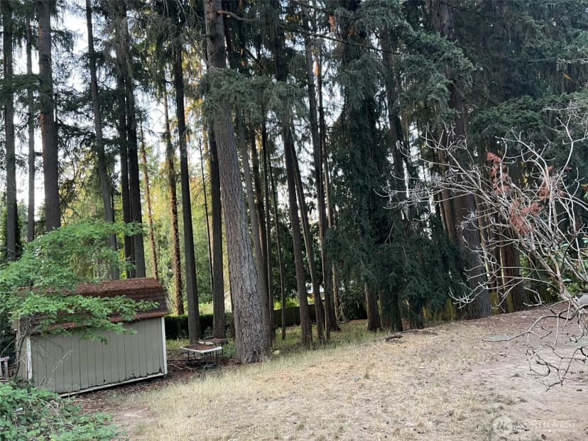 Property photo for 6928 20th Avenue Se, Lacey photo 10