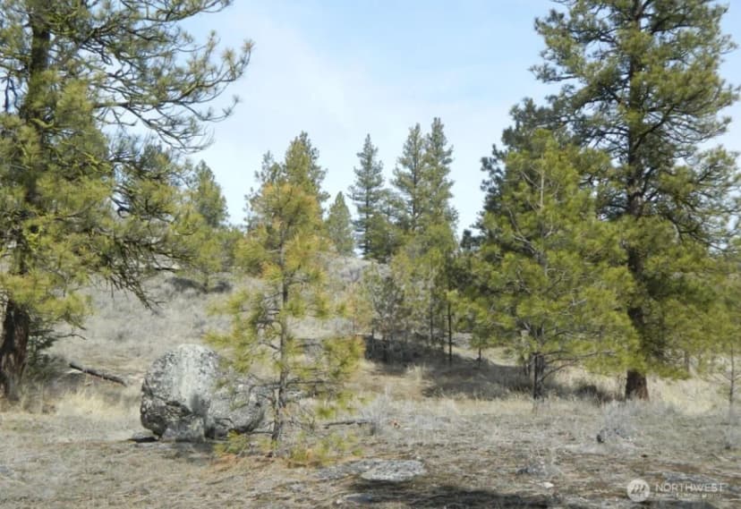 Property photo for 280 Reevas Basin Road, Tonasket photo 2