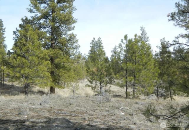 Property photo for 280 Reevas Basin Road, Tonasket