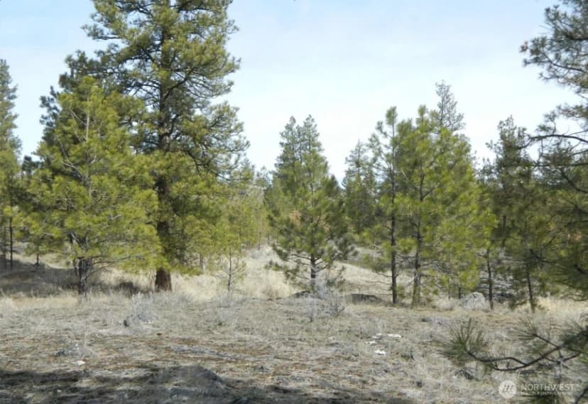 Property photo for 280 Reevas Basin Road, Tonasket