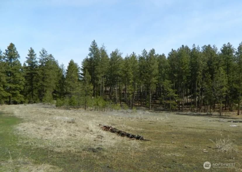 Property photo for 280 Reevas Basin Road, Tonasket photo 6