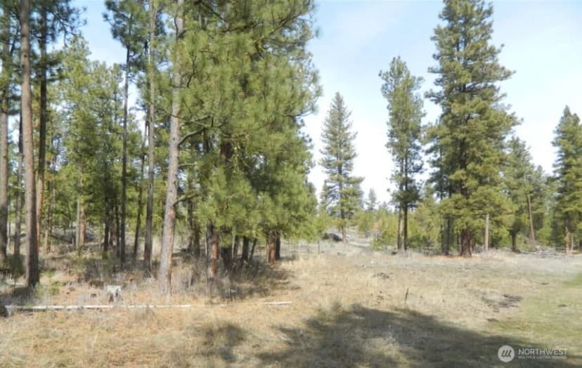 Property photo for 280 Reevas Basin Road, Tonasket photo 5
