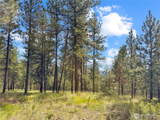 Property photo for 2 Tanner Short Plat, Riverside photo 3