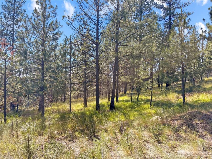 Property photo for 2 Tanner Short Plat, Riverside photo 4
