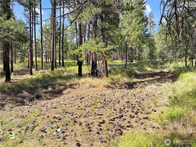 Property photo for 2 Tanner Short Plat, Riverside photo 5