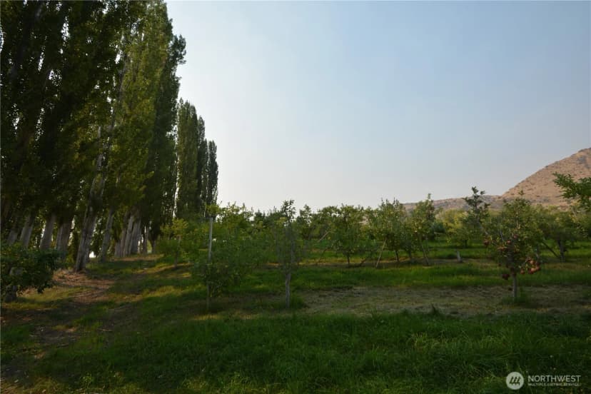 Property photo for 3710 Stayman Flats Road, Chelan photo 35