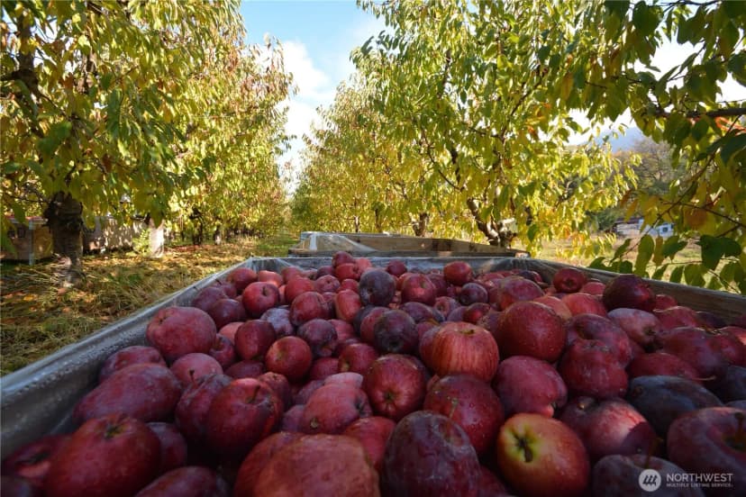 Property photo for 3710 Stayman Flats Road, Chelan photo 28
