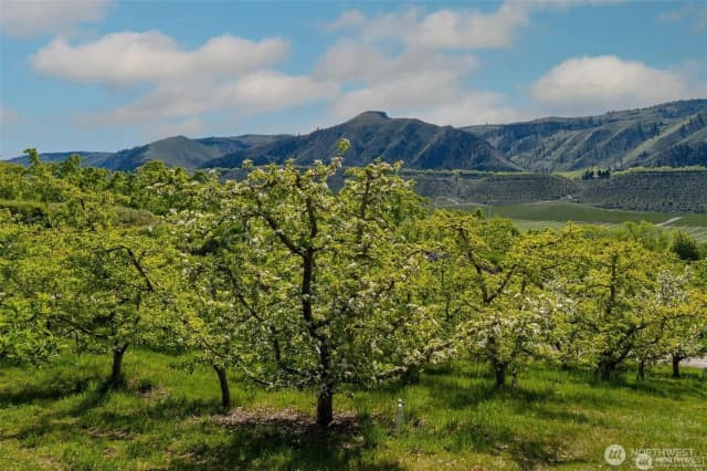 Property photo for 3710 Stayman Flats Road, Chelan photo 5
