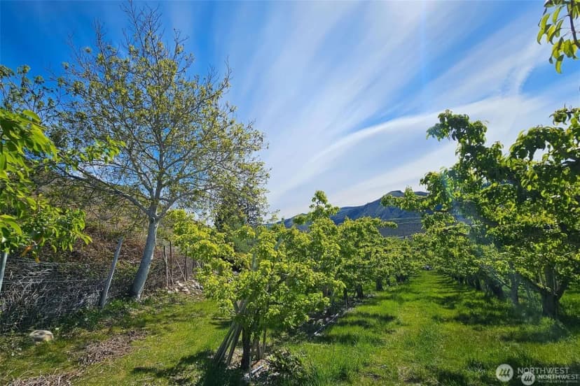 Property photo for 3710 Stayman Flats Road, Chelan photo 16