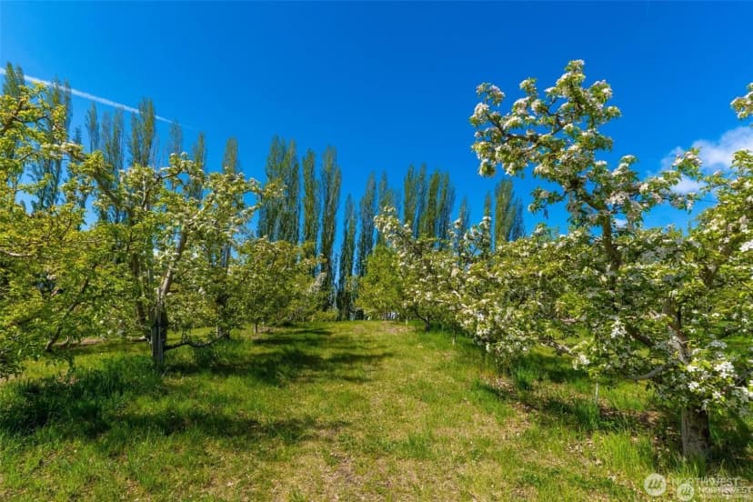 Property photo for 3710 Stayman Flats Road, Chelan photo 8