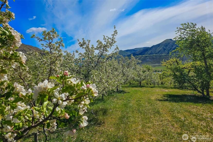 Property photo for 3710 Stayman Flats Road, Chelan photo 15