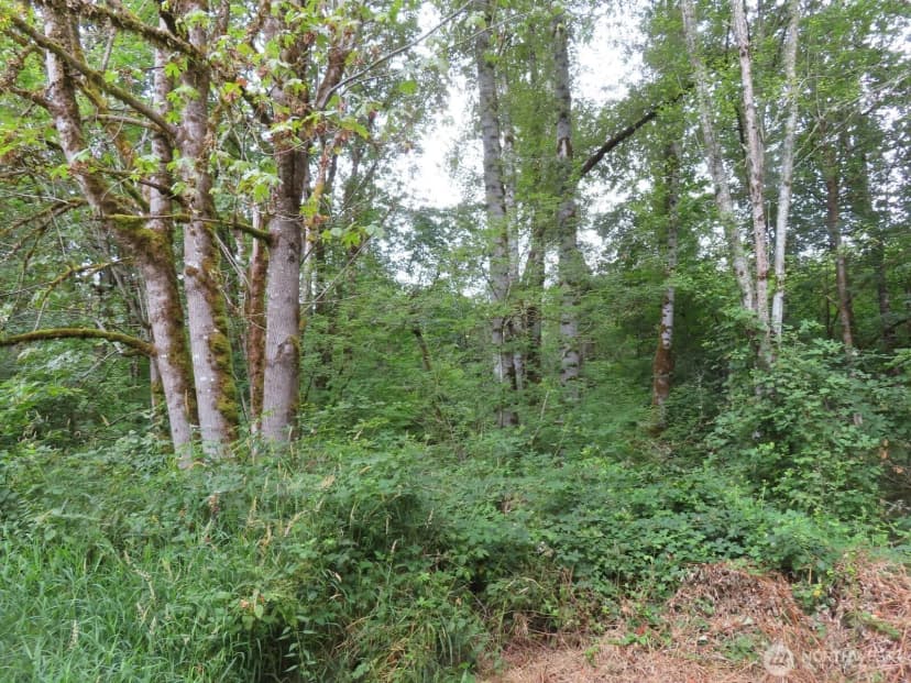 Property photo for 0 Xxx Del Ray Road, Mossyrock photo 13
