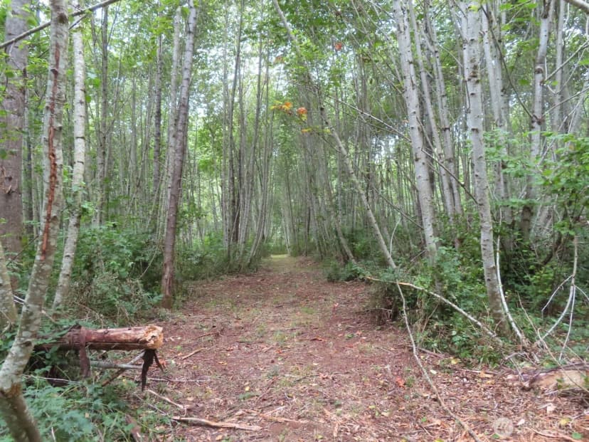 Property photo for 0 Xxx Del Ray Road, Mossyrock photo 12