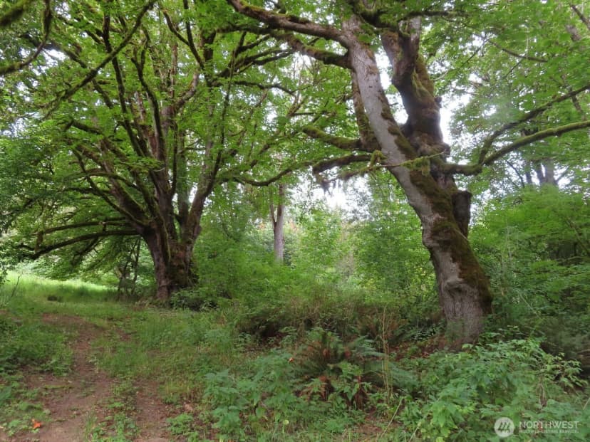 Property photo for 0 Xxx Del Ray Road, Mossyrock