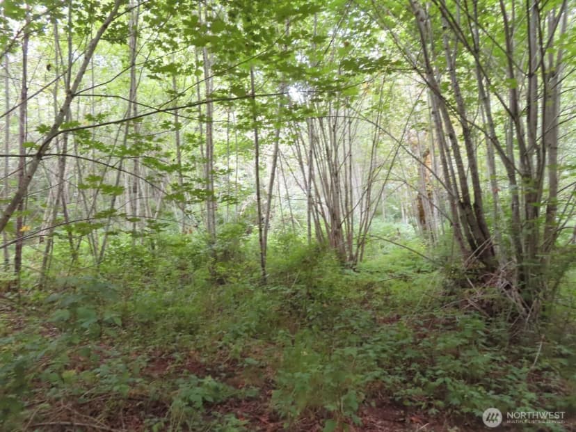 Property photo for 0 Xxx Del Ray Road, Mossyrock photo 20