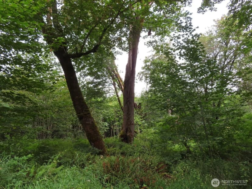 Property photo for 0 Xxx Del Ray Road, Mossyrock photo 9