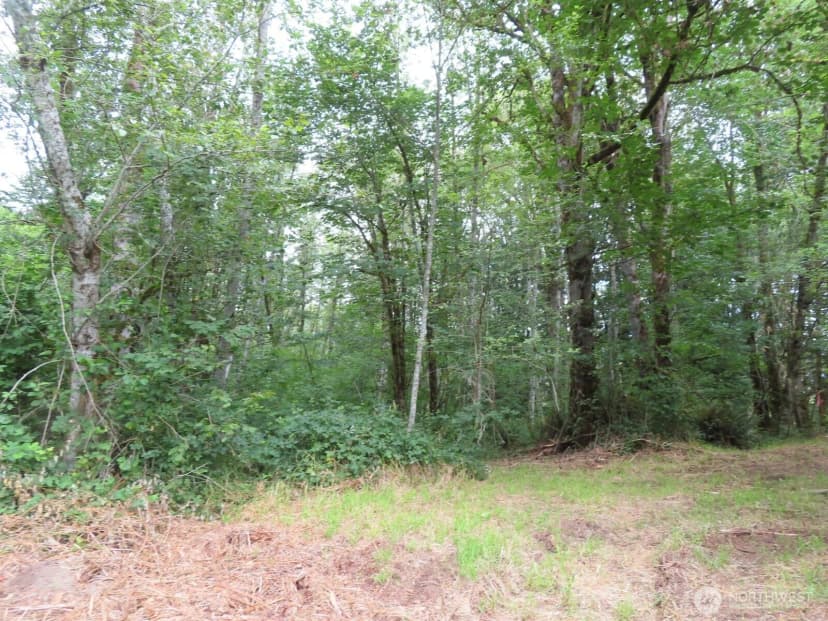 Property photo for 0 Xxx Del Ray Road, Mossyrock photo 22