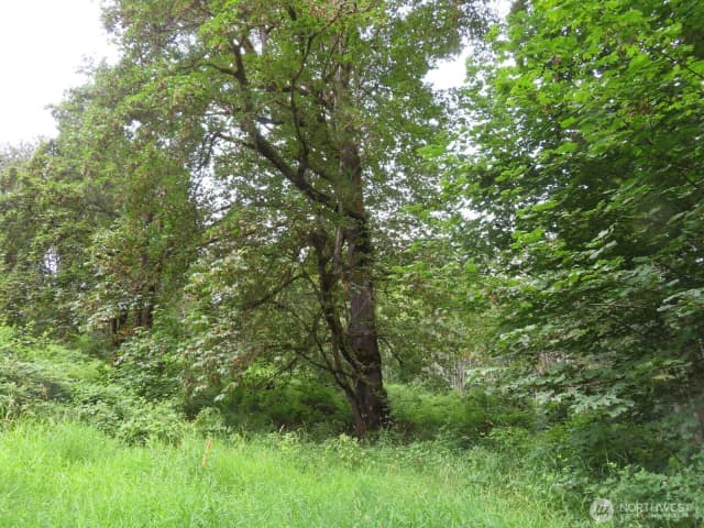 Property photo for 0 Xxx Del Ray Road, Mossyrock photo 2