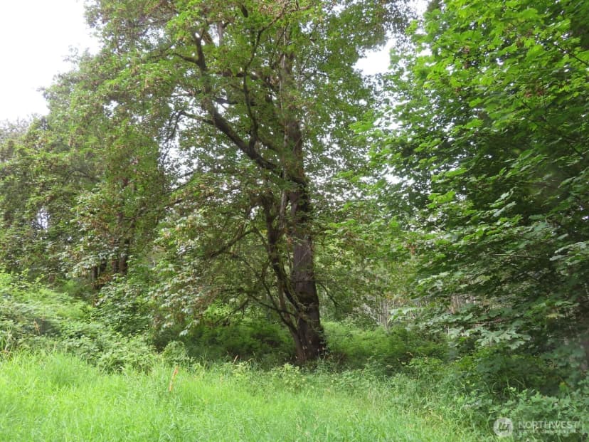 Property photo for 0 Xxx Del Ray Road, Mossyrock photo 2