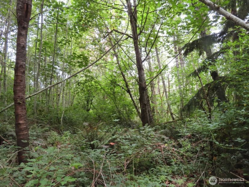 Property photo for 0 Xxx Del Ray Road, Mossyrock photo 14