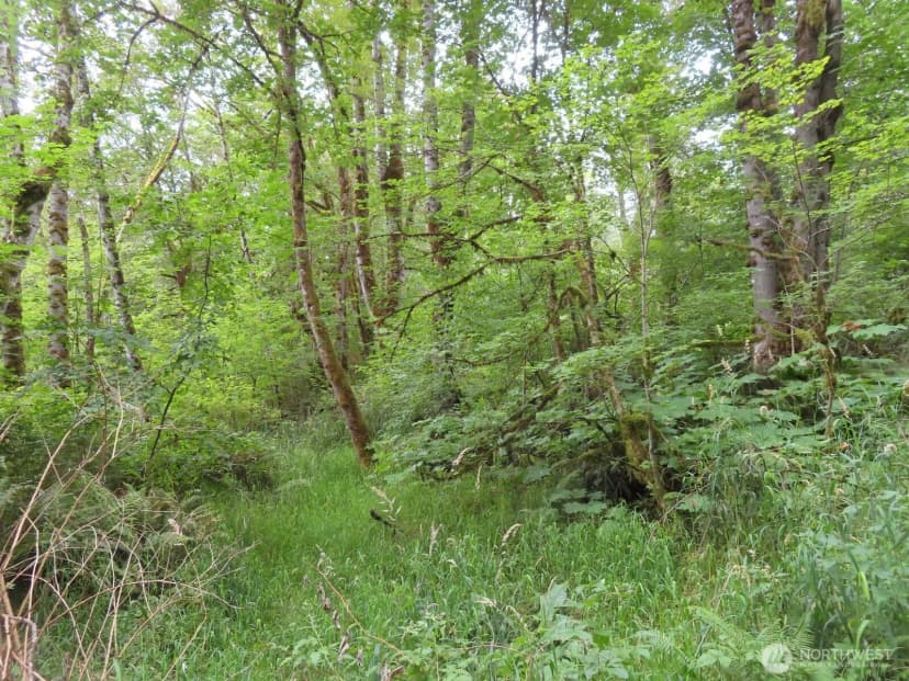 Property photo for 0 Xxx Del Ray Road, Mossyrock photo 7