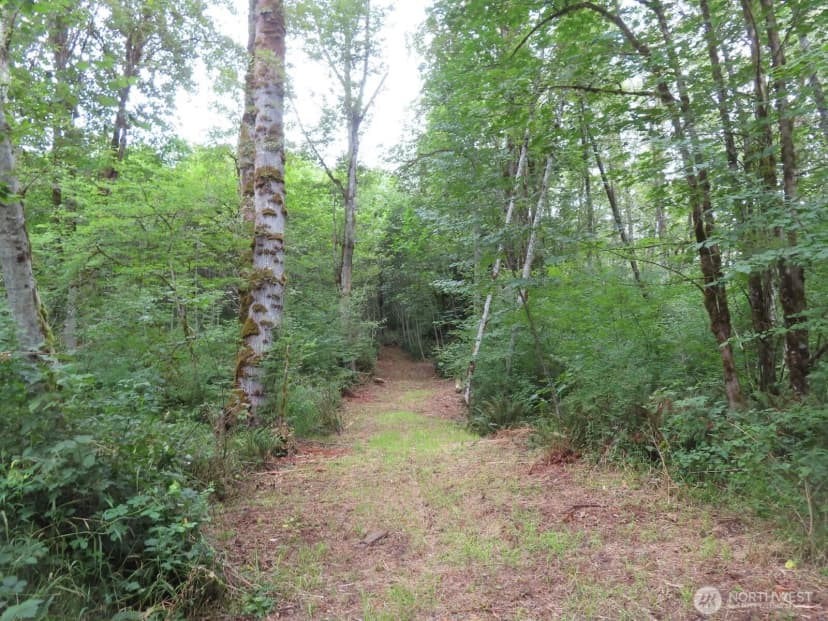 Property photo for 0 Xxx Del Ray Road, Mossyrock photo 8