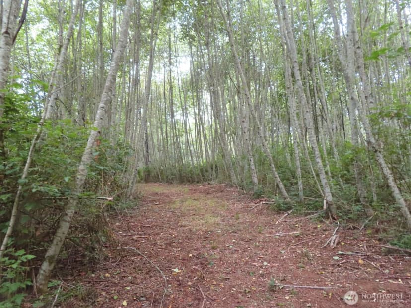 Property photo for 0 Xxx Del Ray Road, Mossyrock photo 18