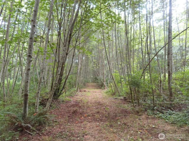 Property photo for 0 Xxx Del Ray Road, Mossyrock photo 5