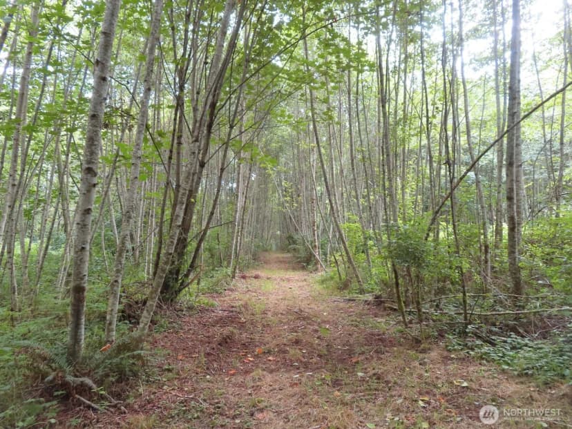 Property photo for 0 Xxx Del Ray Road, Mossyrock photo 5