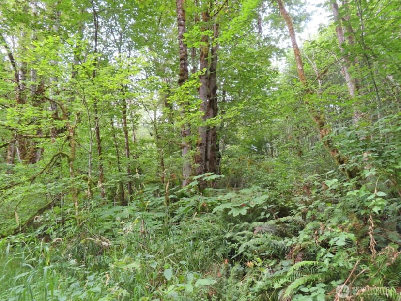 Property photo for 0 Xxx Del Ray Road, Mossyrock photo 23