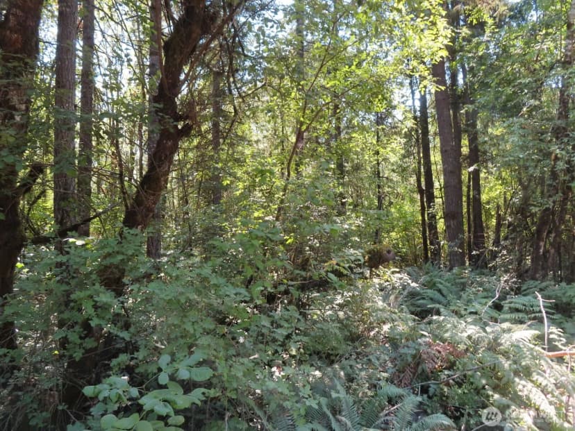 Property photo for 0 Xxx Del Ray Road, Mossyrock photo 24