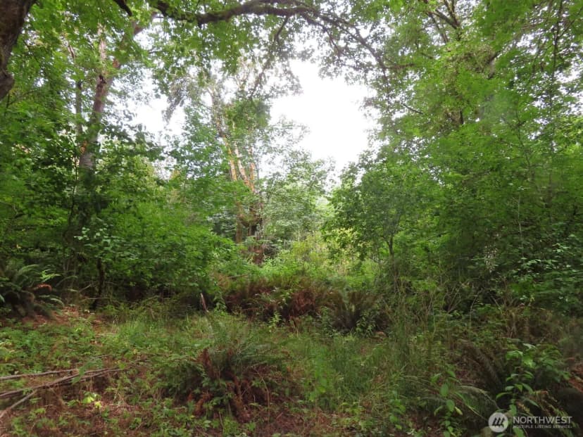Property photo for 0 Xxx Del Ray Road, Mossyrock photo 10