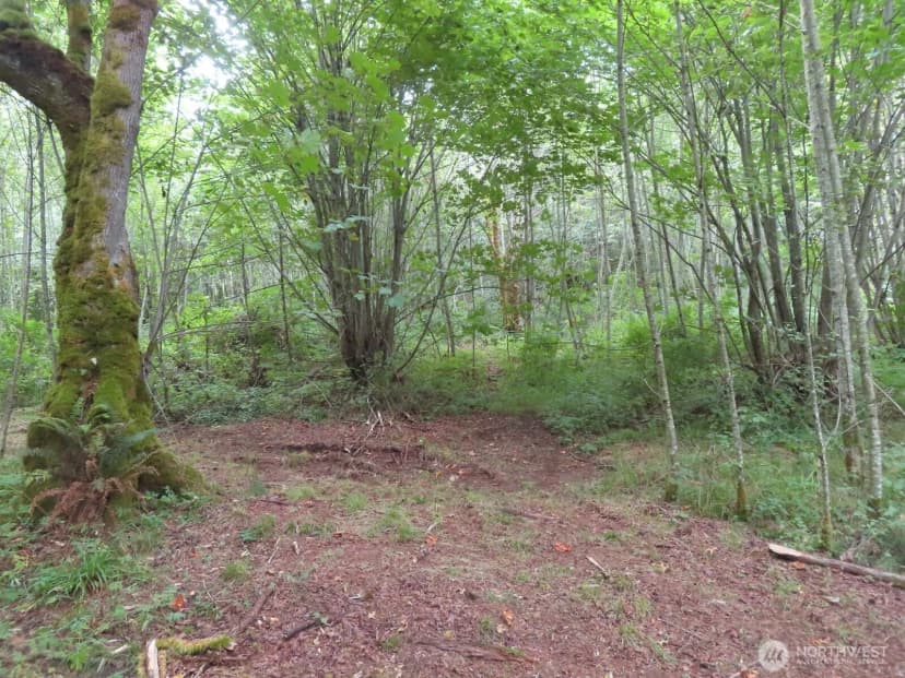 Property photo for 0 Xxx Del Ray Road, Mossyrock photo 11