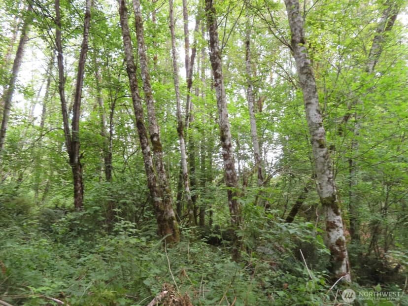 Property photo for 0 Xxx Del Ray Road, Mossyrock photo 25