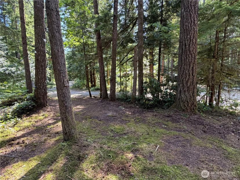 Property photo for 1167 Alder Lane, Sumas photo 17