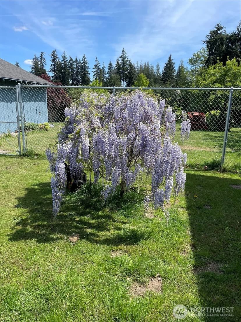 Property photo for 10723 59th Avenue E, Puyallup photo 35