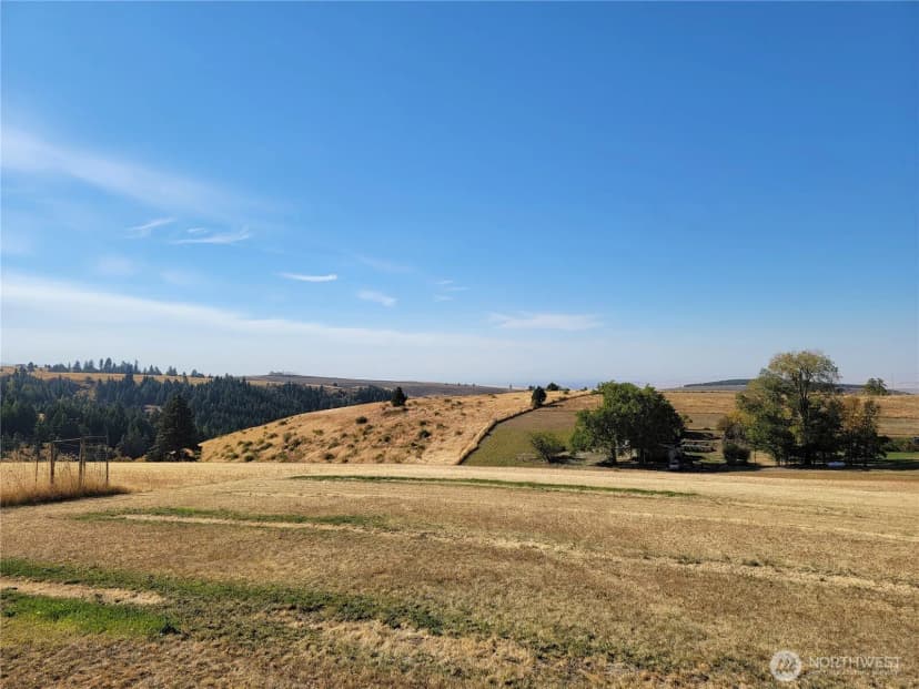 Property photo for 5112 Lewis Peak Road, Waitsburg photo 39