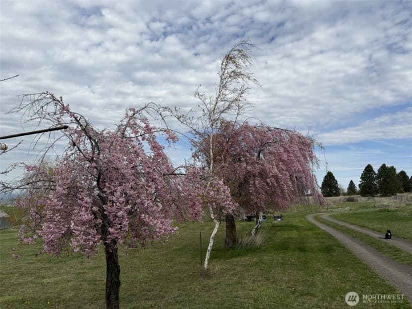 Property photo for 5112 Lewis Peak Road, Waitsburg photo 34