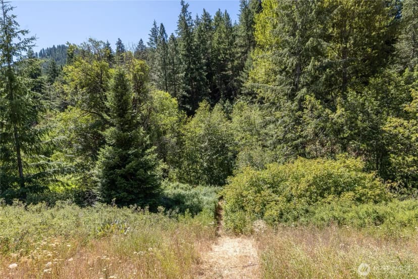 Property photo for 10365 Merry Canyon Road, Leavenworth photo 27