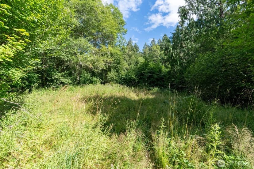 Property photo for 28909 State Route 706, Ashford photo 34