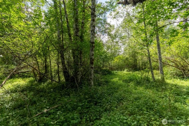 Property photo for 28901 State Route 706, Ashford photo 3