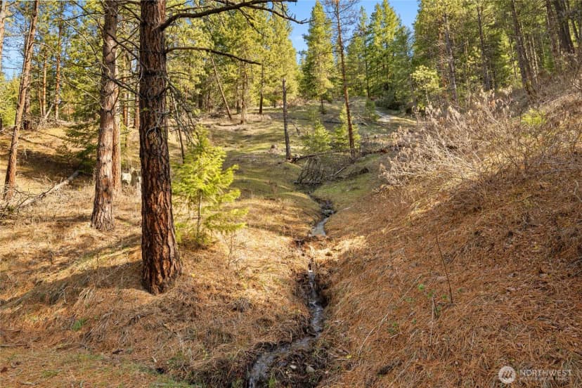 Property photo for 5910 Teanaway Road, Cle Elum photo 34