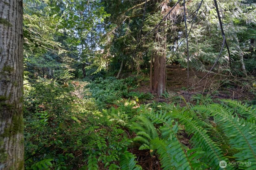 Property photo for 0 Point White Drive Ne, Bainbridge Island photo 14