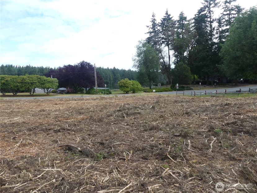 Property photo for 10107 Narrows Drive, Anderson Island photo 9