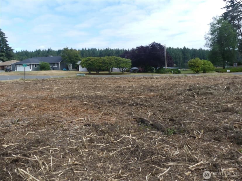 Property photo for 10107 Narrows Drive, Anderson Island photo 2