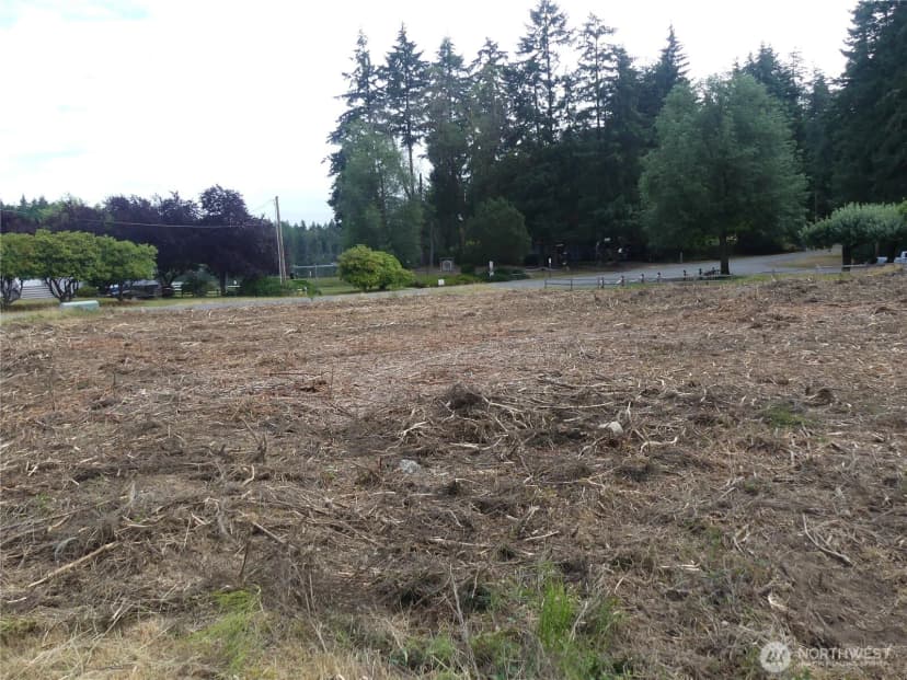 Property photo for 10107 Narrows Drive, Anderson Island photo 10