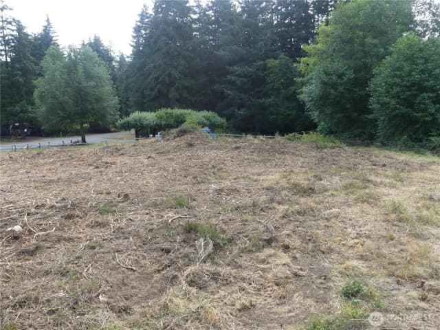Property photo for 10107 Narrows Drive, Anderson Island photo 3