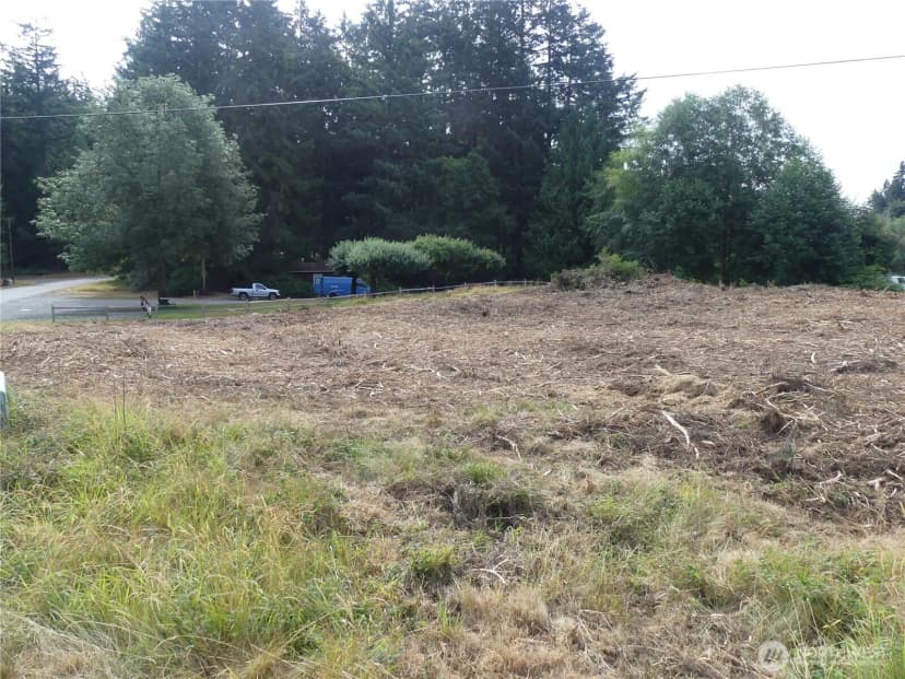 Property photo for 10107 Narrows Drive, Anderson Island photo 11